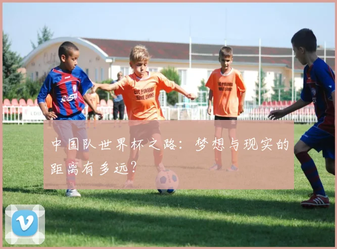 中国队世界杯之路：梦想与现实的距离有多远？