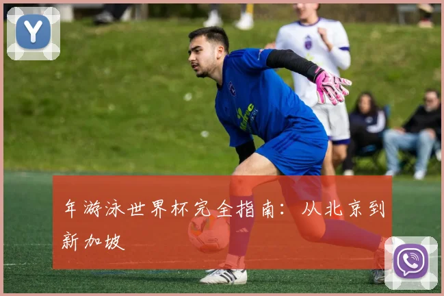 年游泳世界杯完全指南：从北京到新加坡