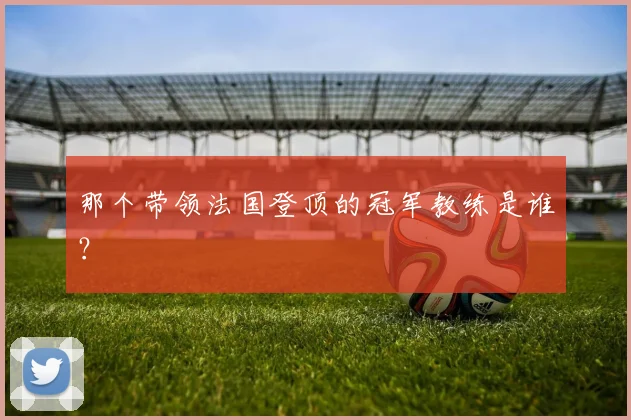 那个带领法国登顶的冠军教练是谁？