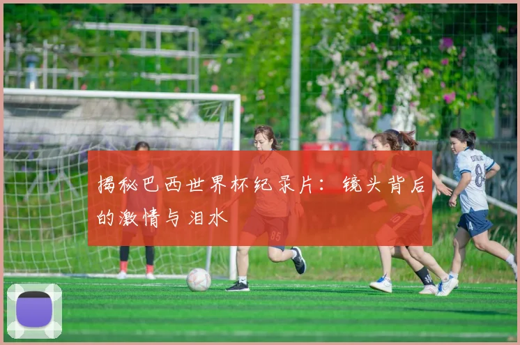 揭秘巴西世界杯纪录片：镜头背后的激情与泪水