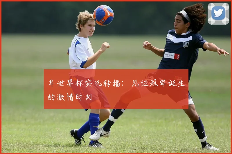 年世界杯实况转播：见证冠军诞生的激情时刻