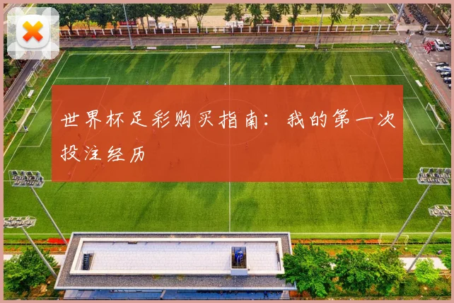 世界杯足彩购买指南：我的第一次投注经历