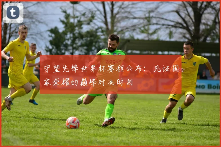 守望先锋世界杯赛程公布：见证国家荣耀的巅峰对决时刻