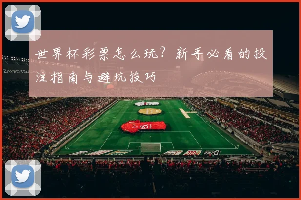 世界杯彩票怎么玩?新手必看的投注指南与避坑技巧