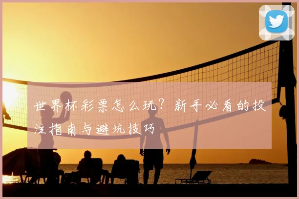 世界杯彩票怎么玩?新手必看的投注指南与避坑技巧
