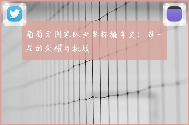 葡萄牙国家队世界杯编年史:每一届的荣耀与挑战