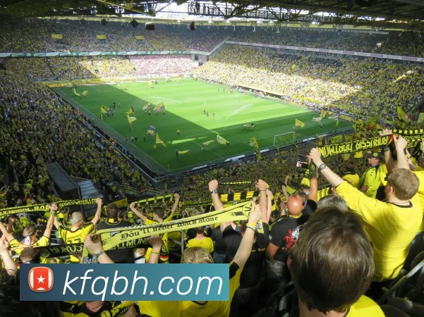 开云网页APP 体育赛事宣传图